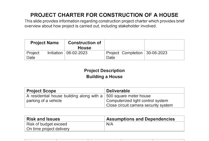 create project charter, gantt chart, schedule activities,  and wbs on ms project